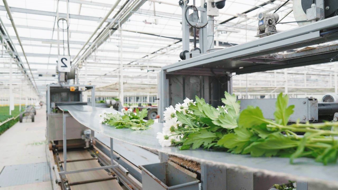 1689831738480456.jpg 微信圖片_20230720120341.jpg