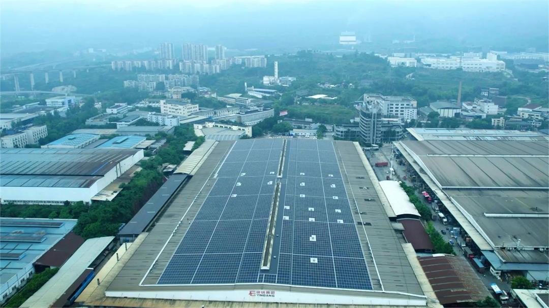 1718880990766401.jpg 微信圖片_20240620174001.jpg